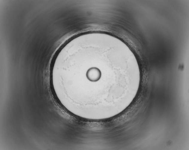 X0000100470836200806131125