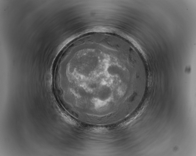 X0000100470837200806131125