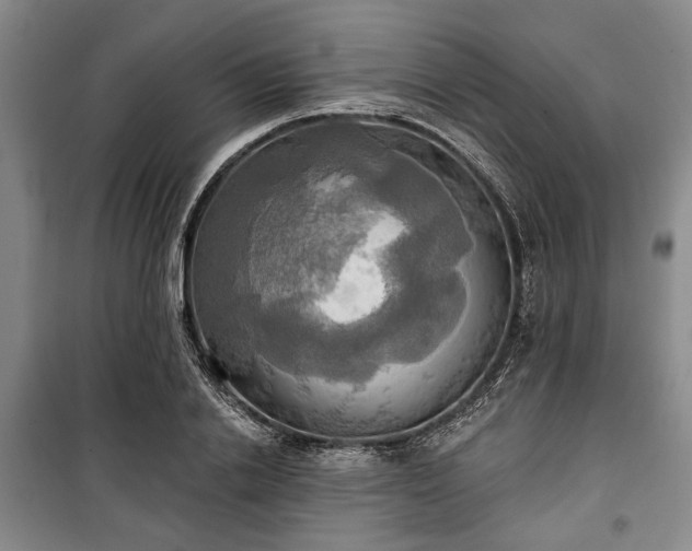 X0000100470838200806131125