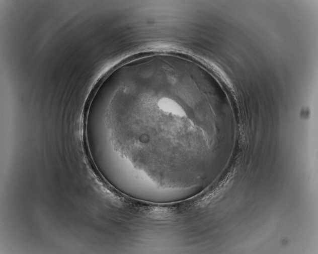 X0000100470839200806131125