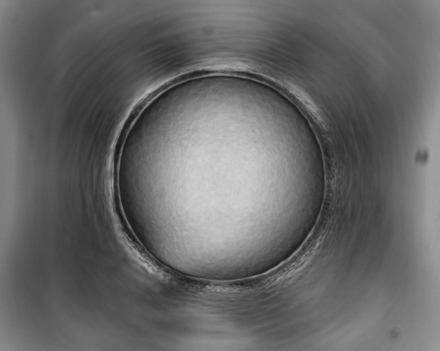 X0000100470840200806131125