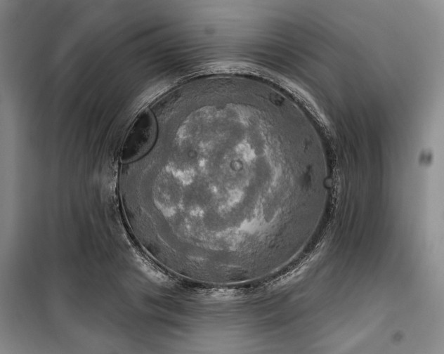 X0000100470841200806131125