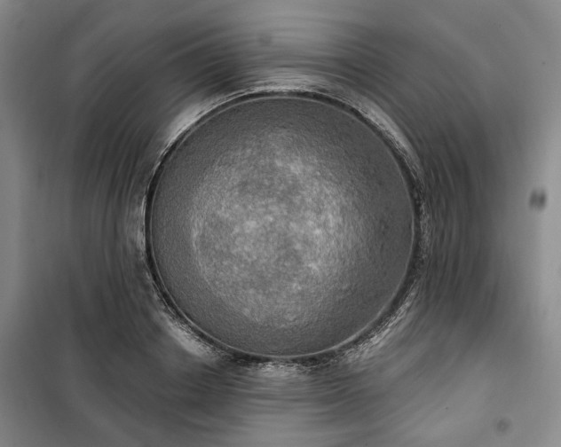 X0000100470842200806131125