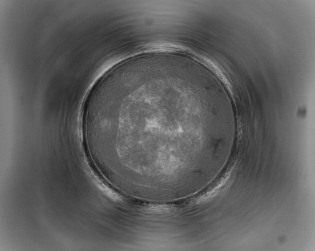 X0000100470843200806131125