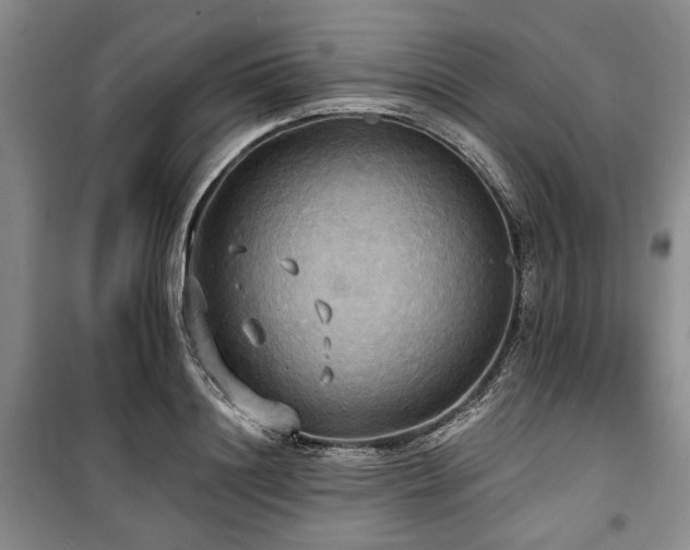 X0000100470844200806131125