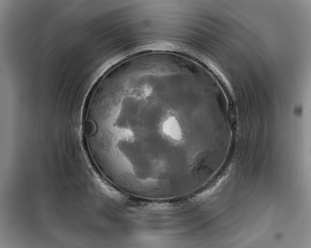 X0000100470845200806131125