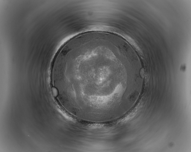 X0000100470846200806131125