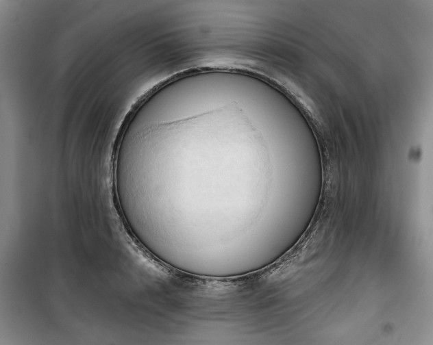 X0000100470848200806131125