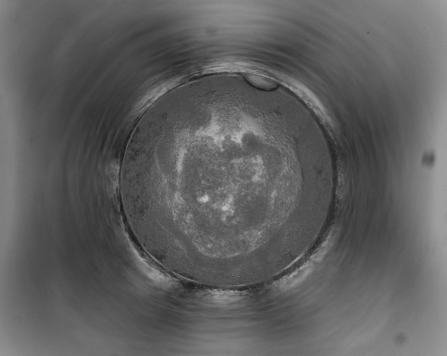 X0000100470849200806131125