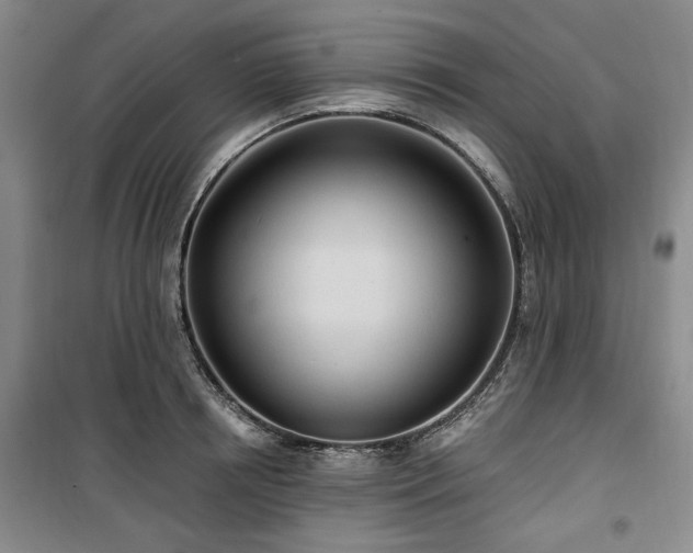 X0000100470850200806131125