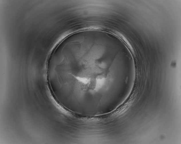 X0000100470851200806131125