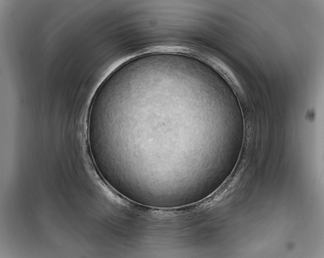 X0000100470852200806131125