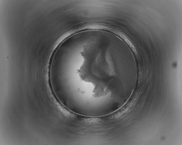 X0000100470853200806131125