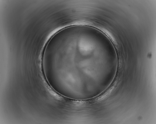 X0000100470854200806131125