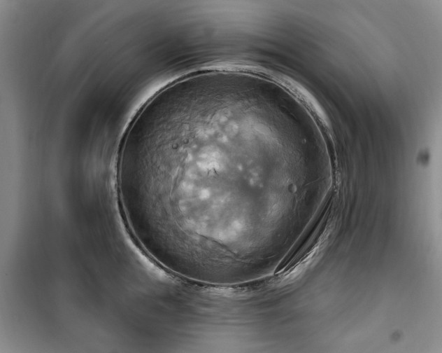 X0000100470855200806131125