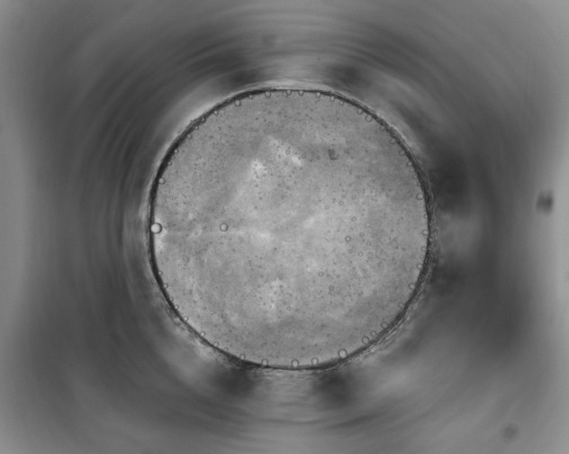 X0000100470856200806131125