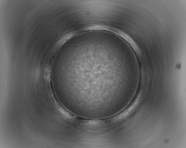 X0000100470857200806131125