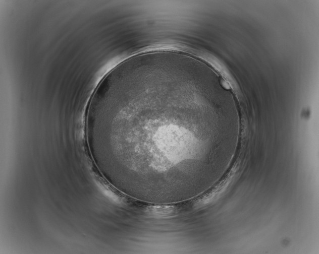 X0000100470858200806131125