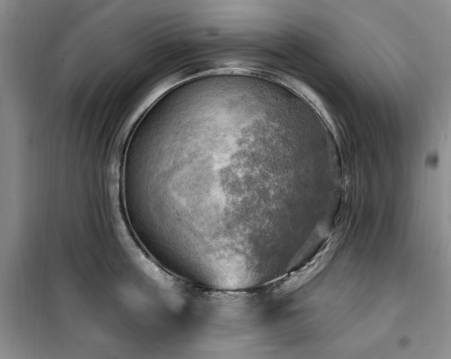 X0000100470859200806131125