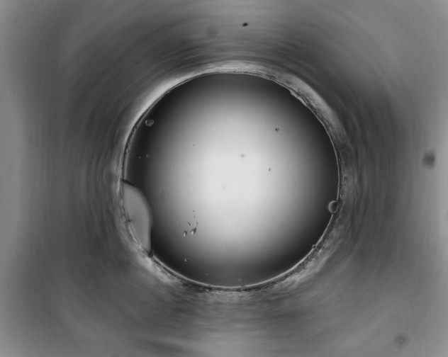 X0000100470860200806131126