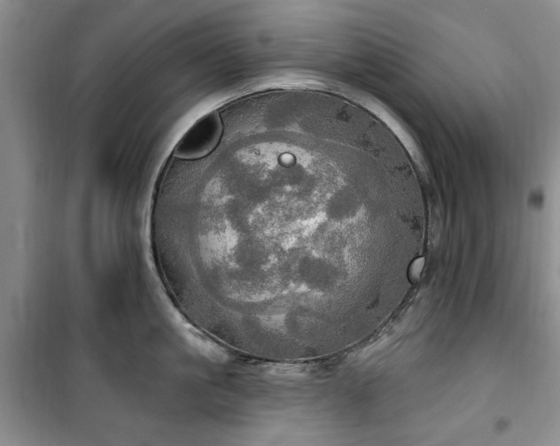 X0000100470861200806131126