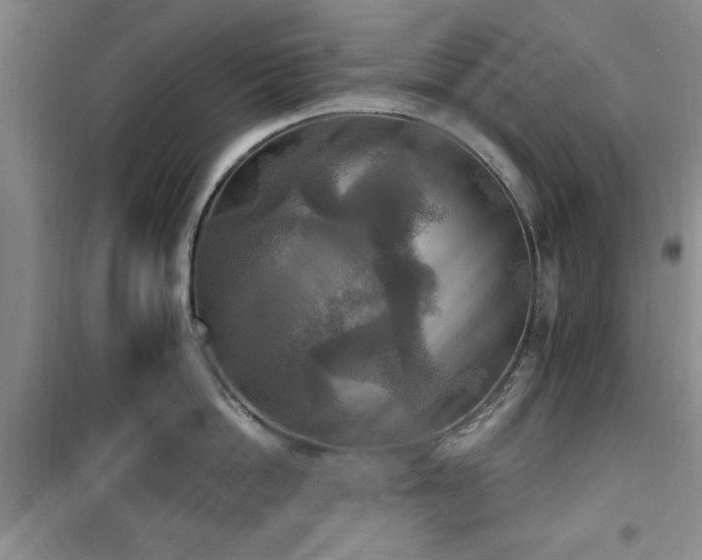 X0000100470862200806131126