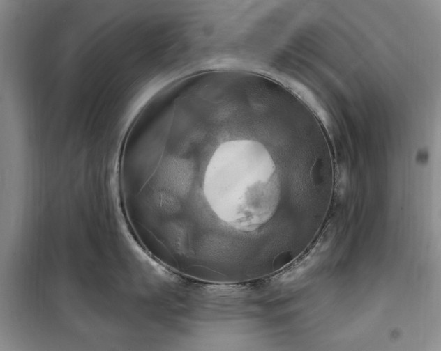 X0000100470863200806131126