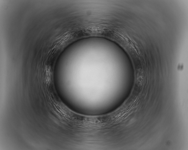 X0000100470866200806131125