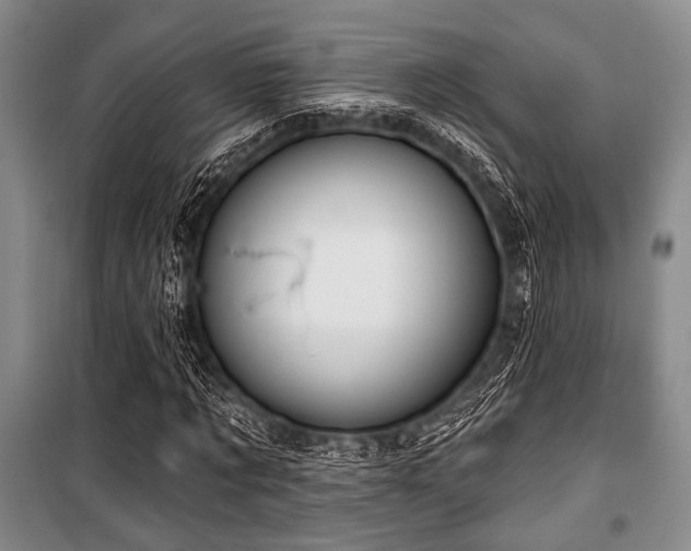 X0000100470869200806131125