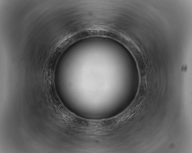 X0000100470870200806131125