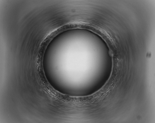 X0000100470872200806131125