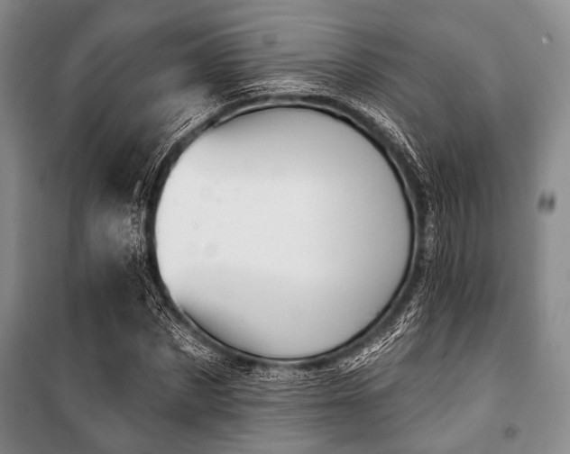 X0000100470873200806131125