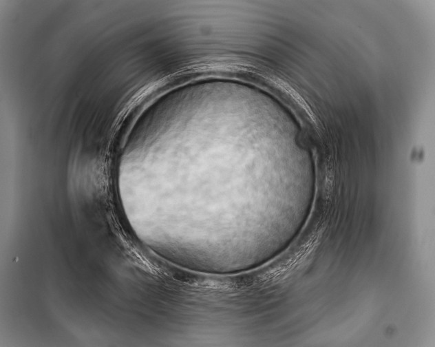 X0000100470874200806131125