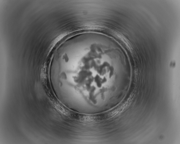 X0000100470875200806131125