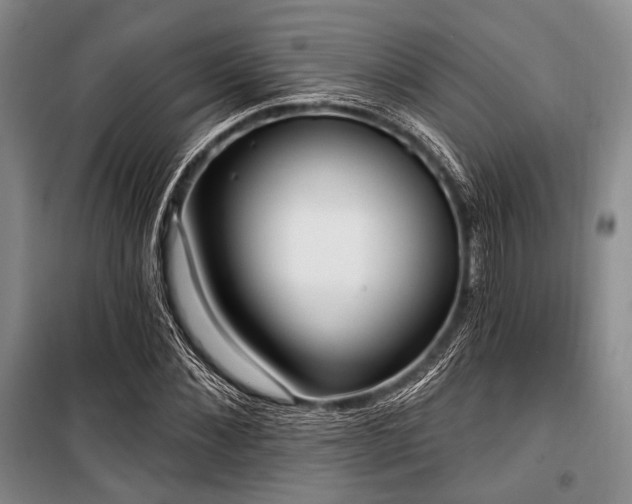 X0000100470876200806131125