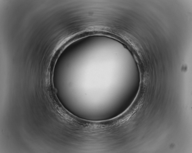 X0000100470877200806131125