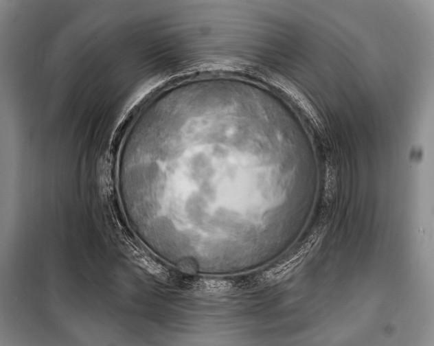 X0000100470878200806131125