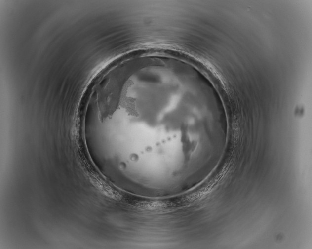 X0000100470879200806131125