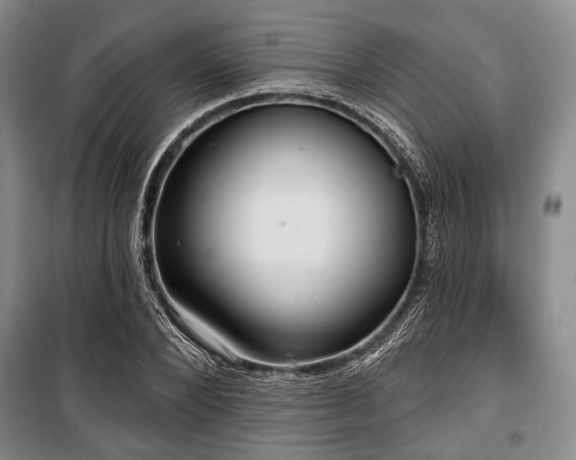 X0000100470880200806131125