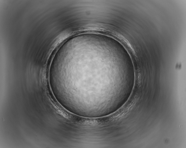 X0000100470882200806131125