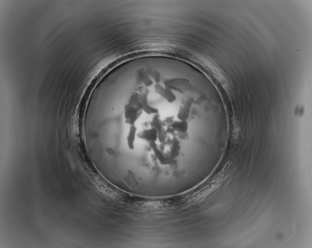 X0000100470883200806131125