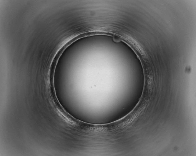 X0000100470884200806131125