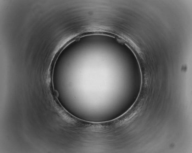 X0000100470885200806131125