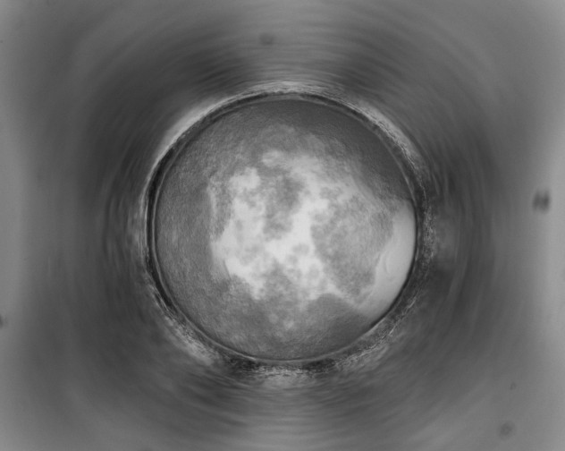 X0000100470886200806131125