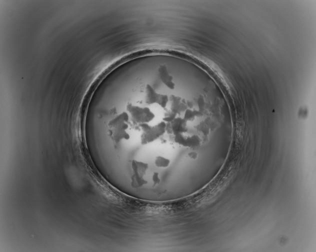 X0000100470887200806131125