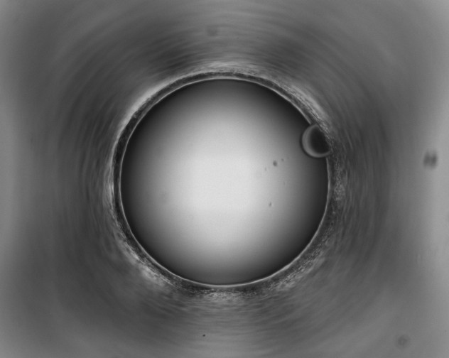 X0000100470888200806131125