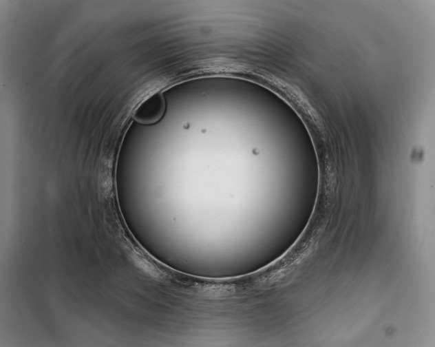 X0000100470889200806131125