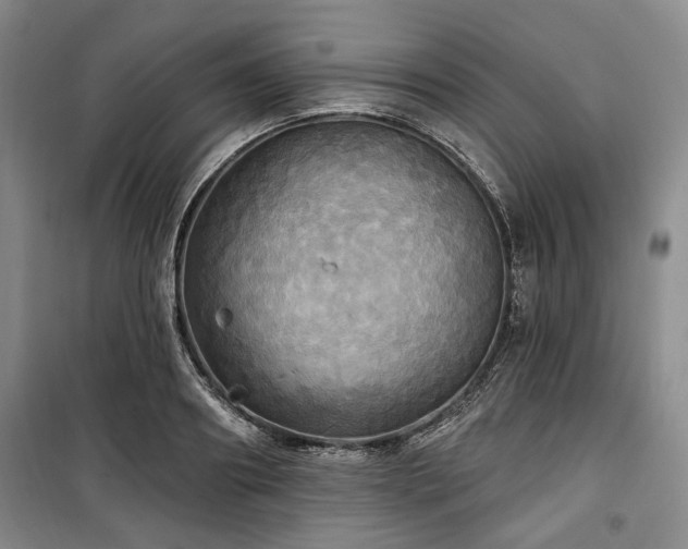 X0000100470890200806131125