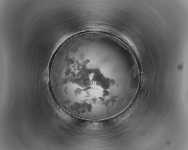 X0000100470891200806131125