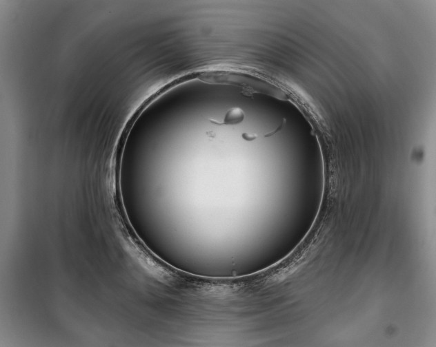 X0000100470892200806131125